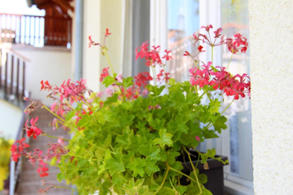 Ferienwohnung Zsuzsanna Apartmanhaz Balatonboglár Exterior foto